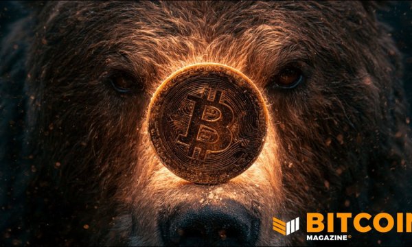 Bitcoin Bear Market May Not Yet Be Over, Says Fidelity Bitcoin Bear Market May Not Yet Be Over, Says Fidelity