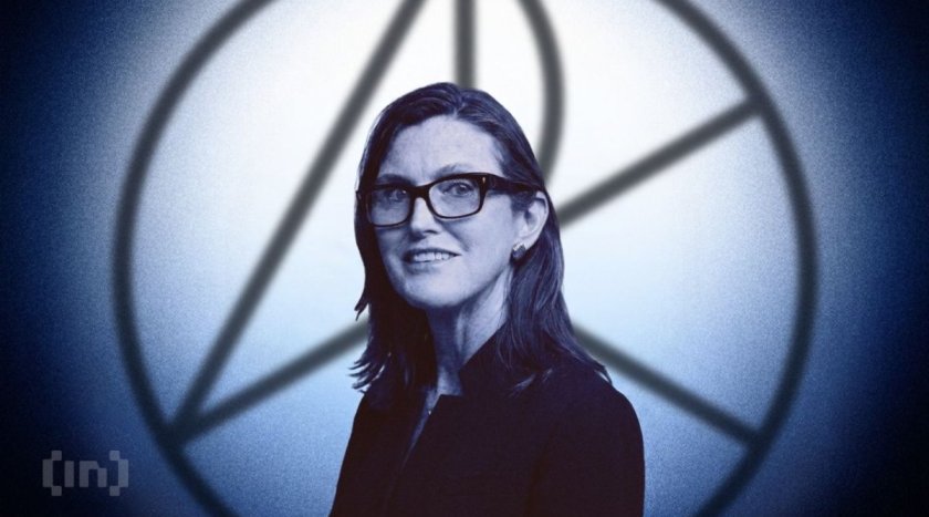 After Buying Circle Through a 42% Drop, Cathie Wood Says Analysts Cannot Fathom It After Buying Circle Through a 42% Drop, Cathie Wood Says Analysts Cannot Fathom It